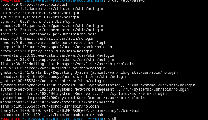 image-20260101034226259